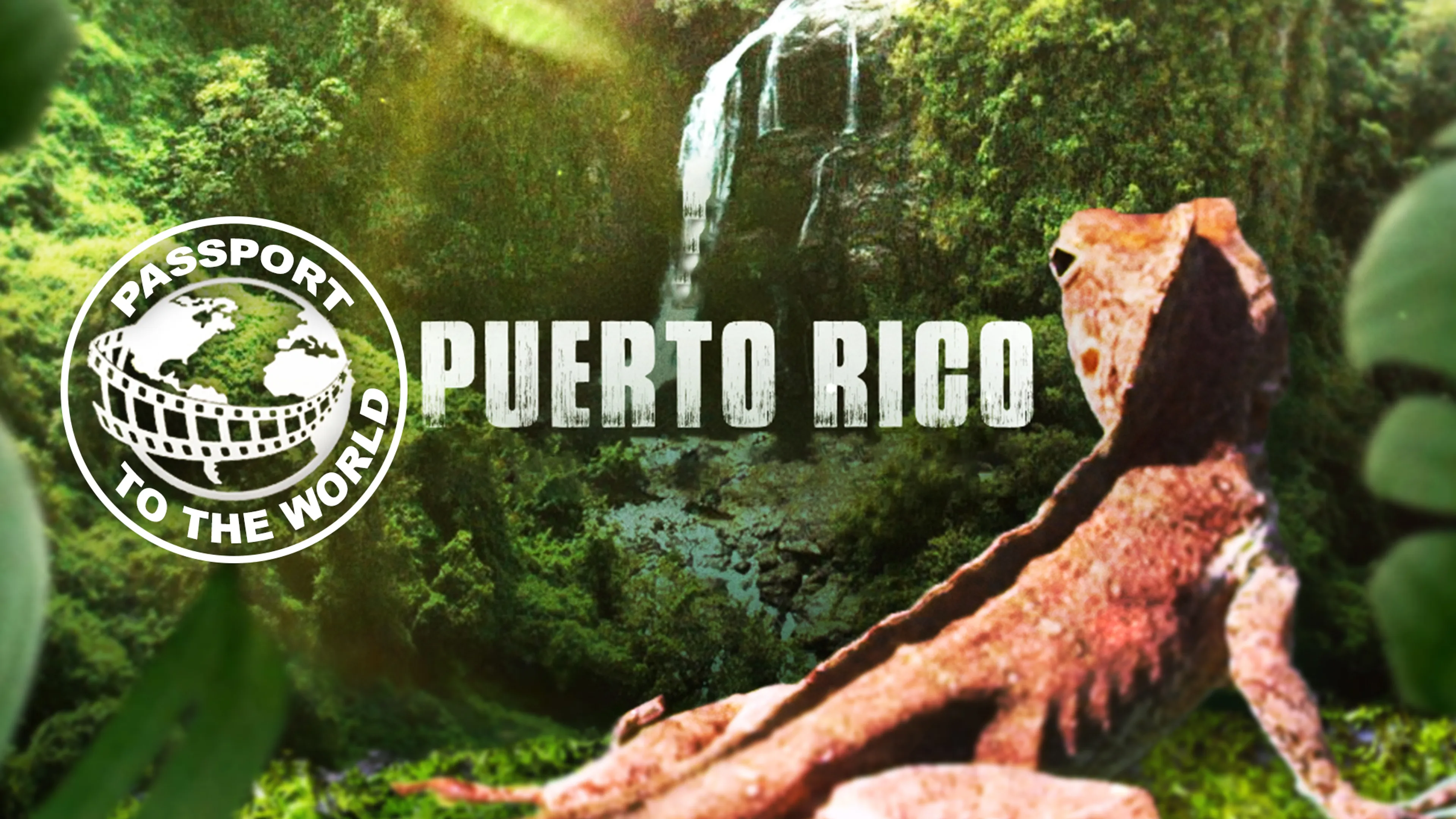 Passport To The World: Puerto Rico poster